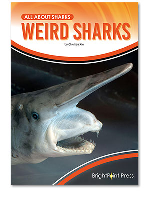 Weird Sharks cover