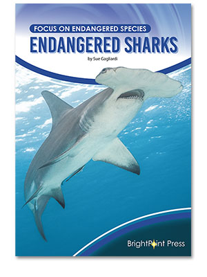 Endangered Sharks cover