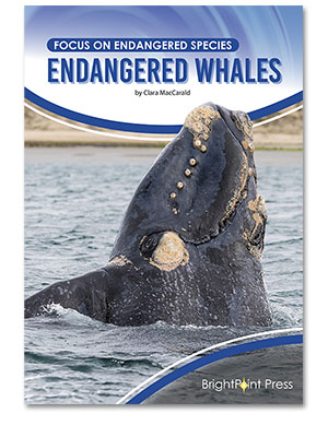 Endangered Whales cover