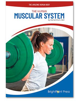 The Human Muscular System cover