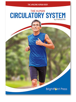 The Human Circulatory System cover